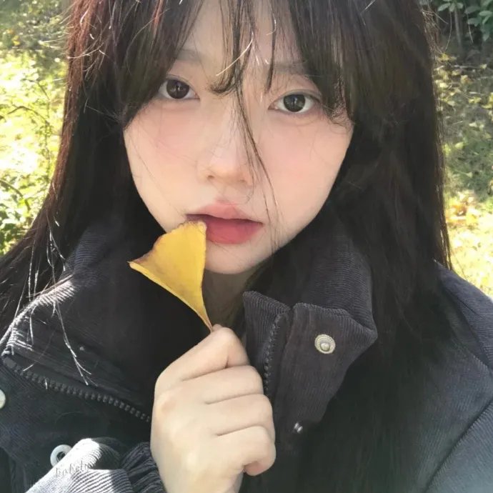 农奴 高清封面