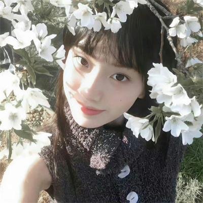 大奥 最终章 高清封面